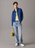 Denim Cropped Denim Dad Shirt  Women