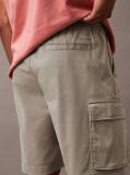 Brown Cotton Twill Cargo Shorts  Men