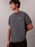 Grey Relaxed Script Logo T-shirt  Men