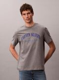 Grey Embroidered NYC Logo T-shirt  Men
