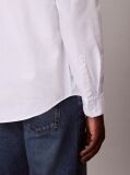 White Solid Classic Oxford Button-Down Shirt  Men