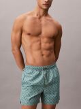 Green Solid Swim Shorts  Men