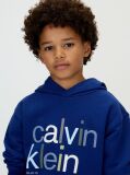 Blue Logo Hoodie  Boys