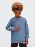 Blue Logo Jumper  Boys