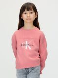 Pink Logo Jumper  Girls
