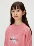 Pink Logo Jumper  Girls
