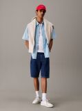 Denim Regular Denim Shorts  Men