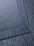 Blue Allover Emblem Logo Shine Scarf  Women