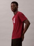 Red And Graphic Relaxed T-Shirt  Men