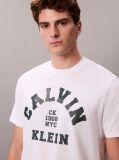 White Varsity Logo Graphic Relaxed T-Shirt  Men