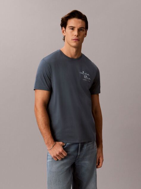 Blue Logo Graphic Crew Neck T-Shirt  Men