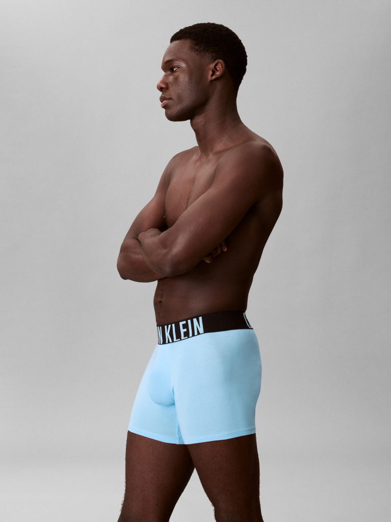 Multi 3 Pack Boxer Briefs - Intense Power Cotton  Men