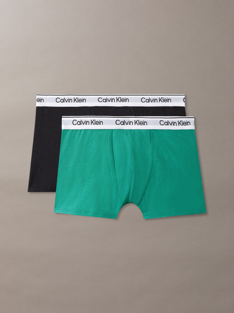 Multi 2 Pack Boys Trunks - Icon Cotton Stretch  Boys