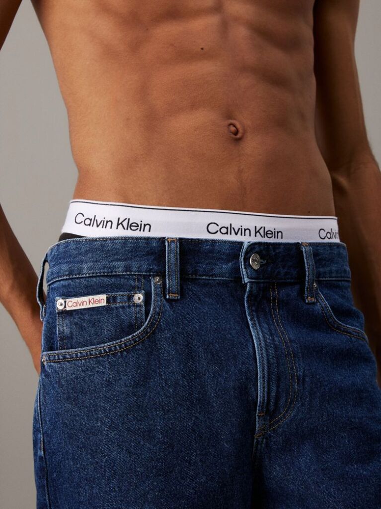 Denim Regular Denim Shorts  Men