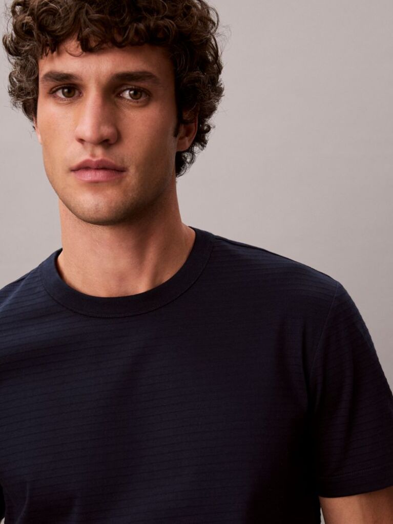 Blue Textured Stripe Crew Neck T-Shirt  Men