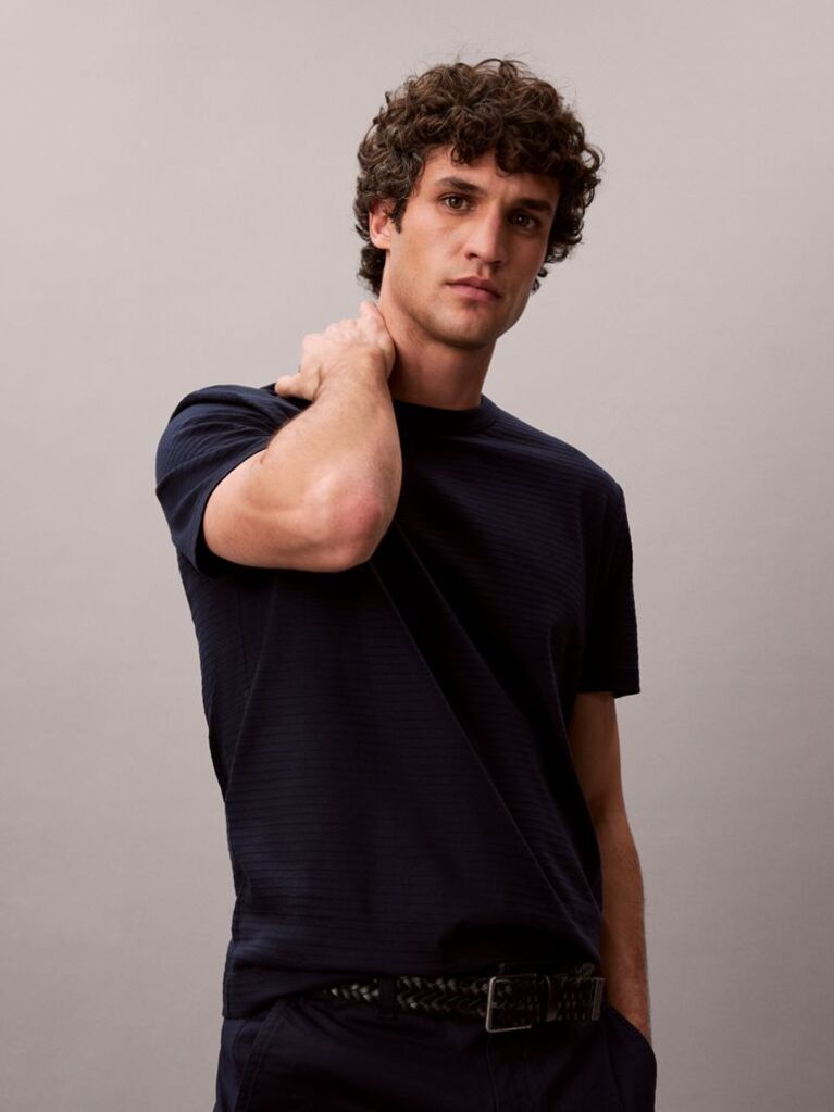 Blue Textured Stripe Crew Neck T-Shirt  Men
