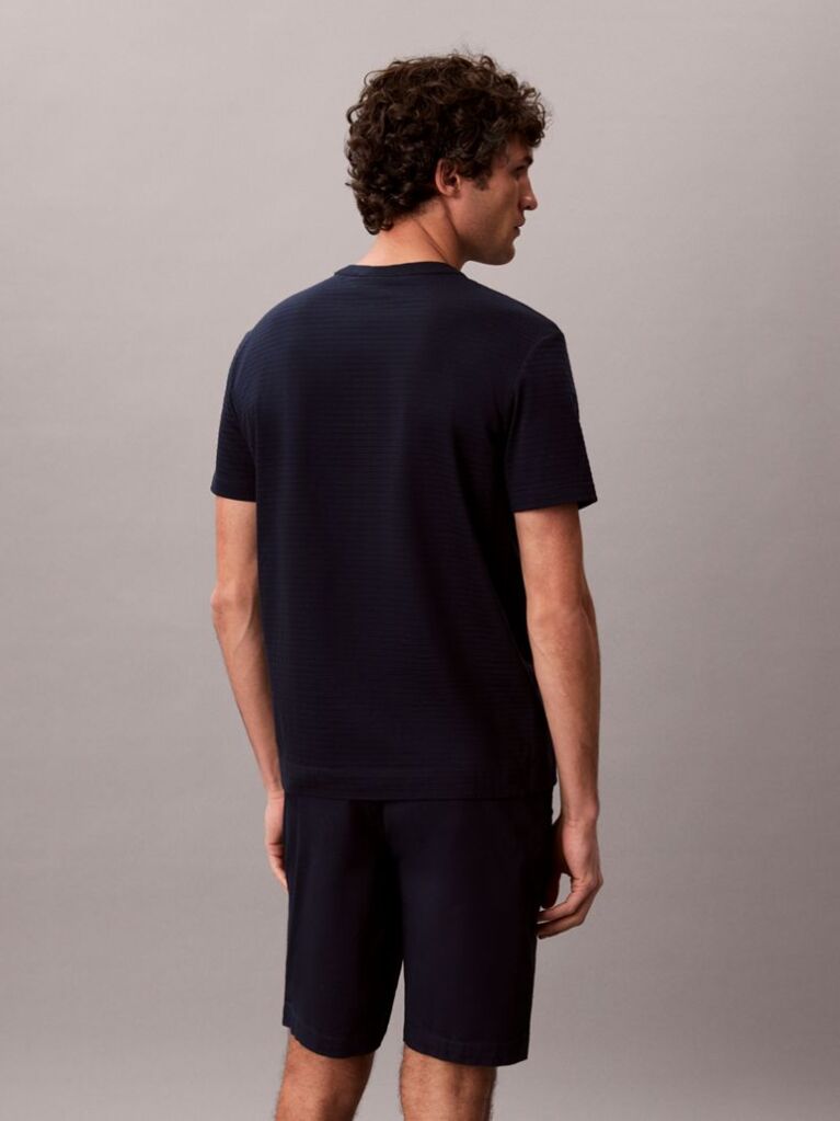 Blue Textured Stripe Crew Neck T-Shirt  Men